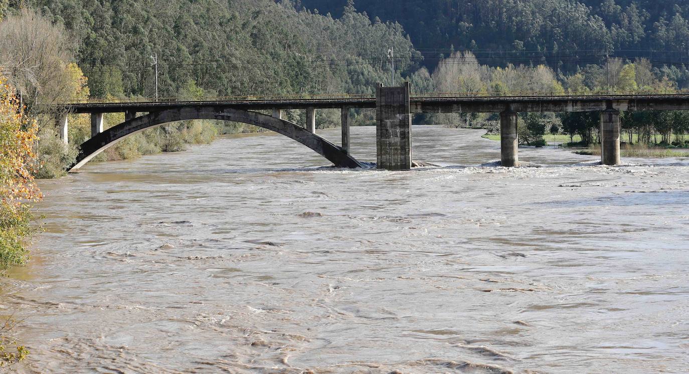 Las lluvias de las últimas horas han provocado el desbordamiento del río Nalón en varios de sus tramos, como Pravia. El agua, que alcanza la carretera AS-16, ha anegado por completo varias huertas y plantaciones de kiwi.