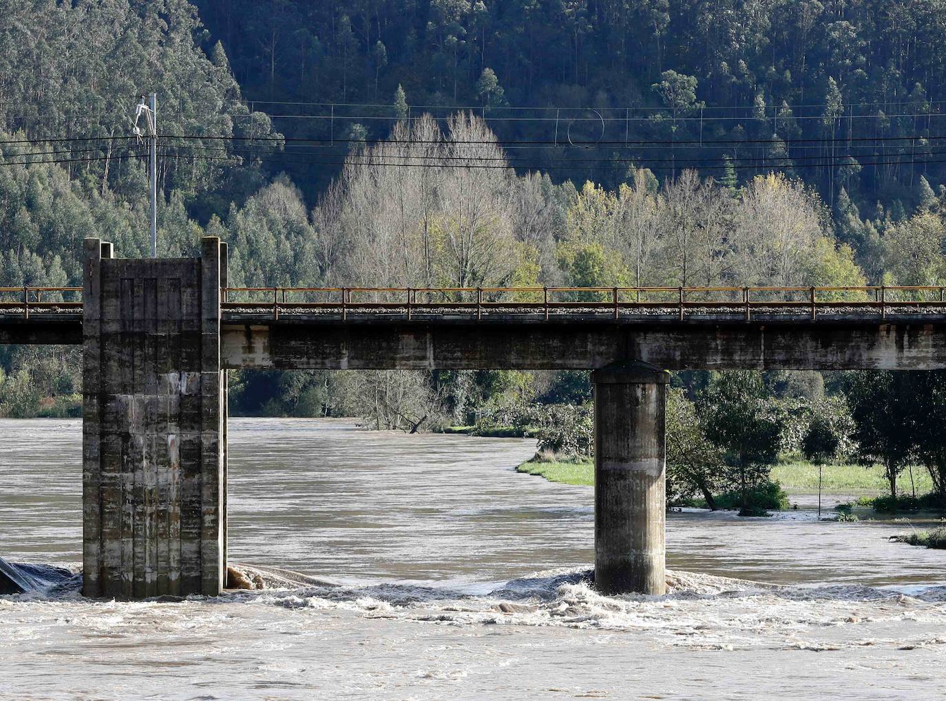 Las lluvias de las últimas horas han provocado el desbordamiento del río Nalón en varios de sus tramos, como Pravia. El agua, que alcanza la carretera AS-16, ha anegado por completo varias huertas y plantaciones de kiwi.