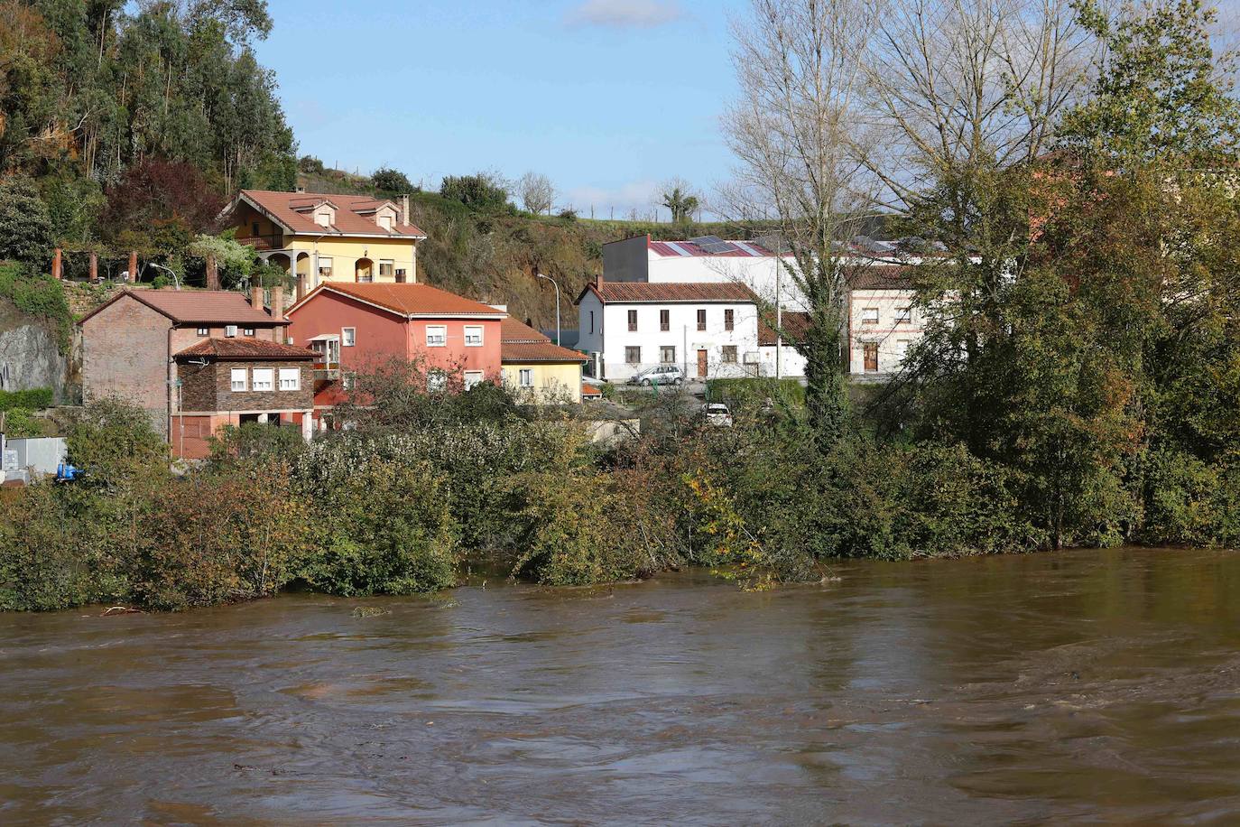 Las lluvias de las últimas horas han provocado el desbordamiento del río Nalón en varios de sus tramos, como Pravia. El agua, que alcanza la carretera AS-16, ha anegado por completo varias huertas y plantaciones de kiwi.