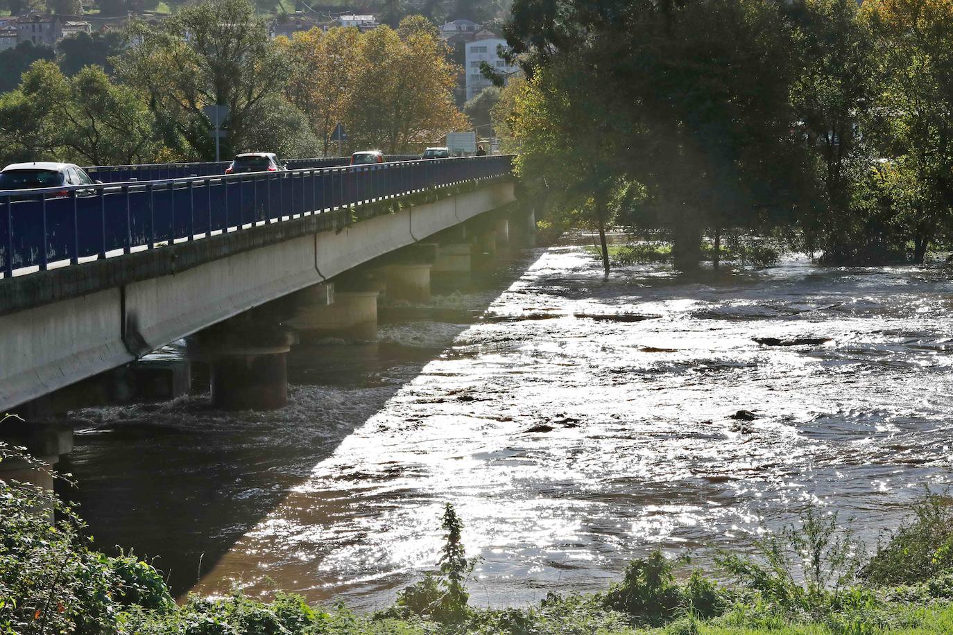 Las lluvias de las últimas horas han provocado el desbordamiento del río Nalón en varios de sus tramos, como Pravia. El agua, que alcanza la carretera AS-16, ha anegado por completo varias huertas y plantaciones de kiwi.