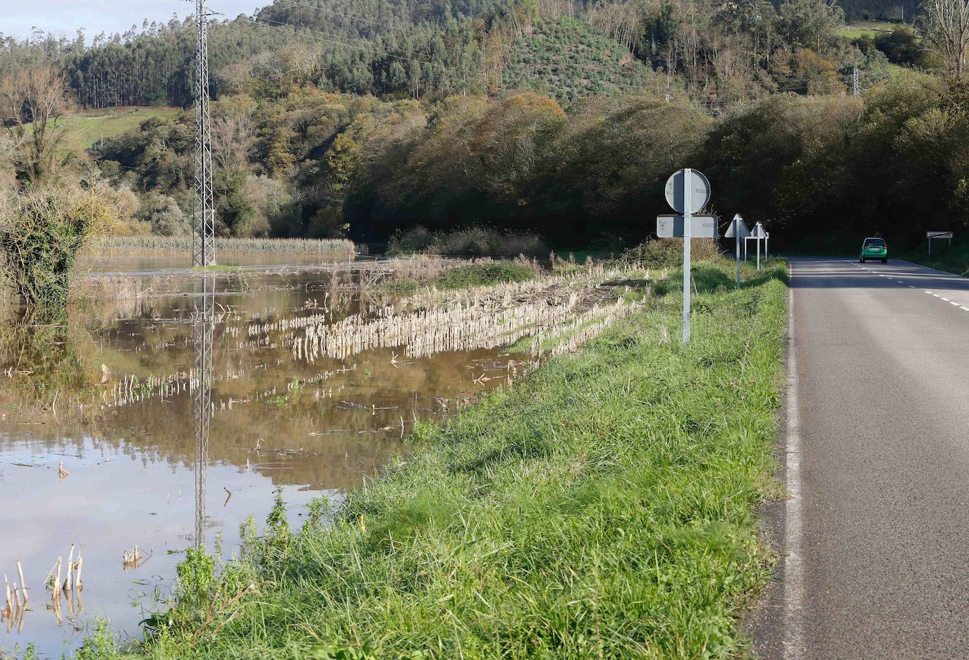 Las lluvias de las últimas horas han provocado el desbordamiento del río Nalón en varios de sus tramos, como Pravia. El agua, que alcanza la carretera AS-16, ha anegado por completo varias huertas y plantaciones de kiwi.