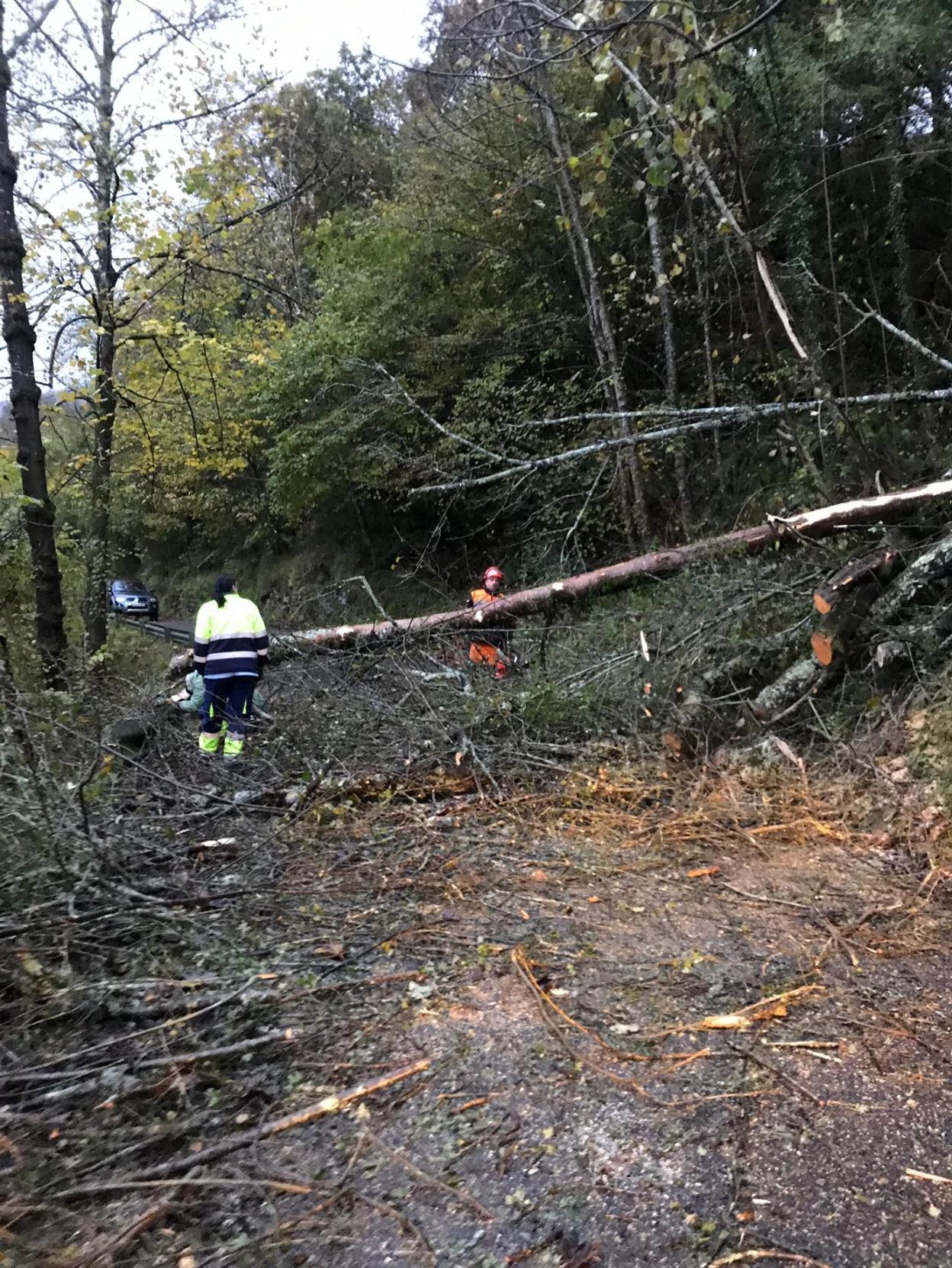 Operarios retiran el argayu de la carretera a Gamonéu. 