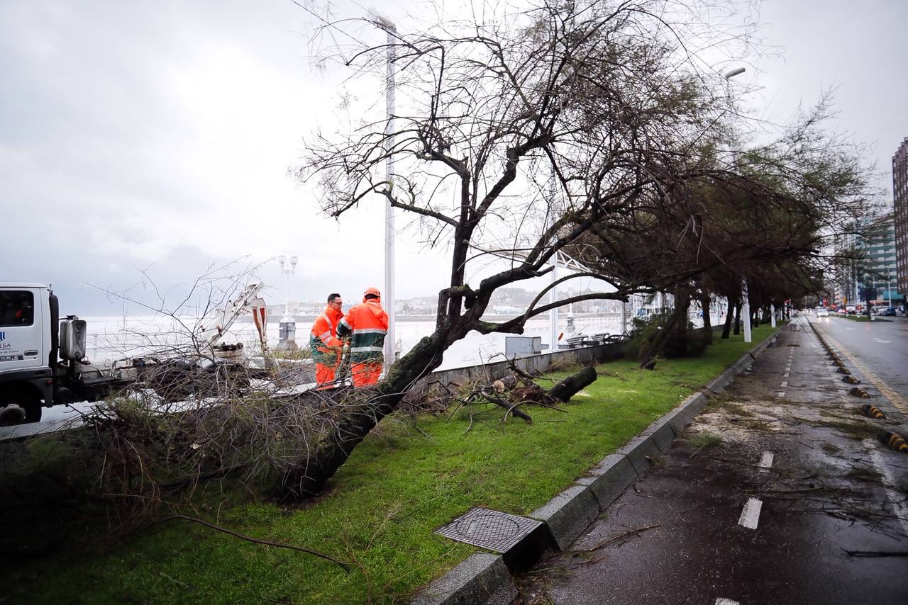 Fotos: Los destrozos que deja el temporal en Gijón