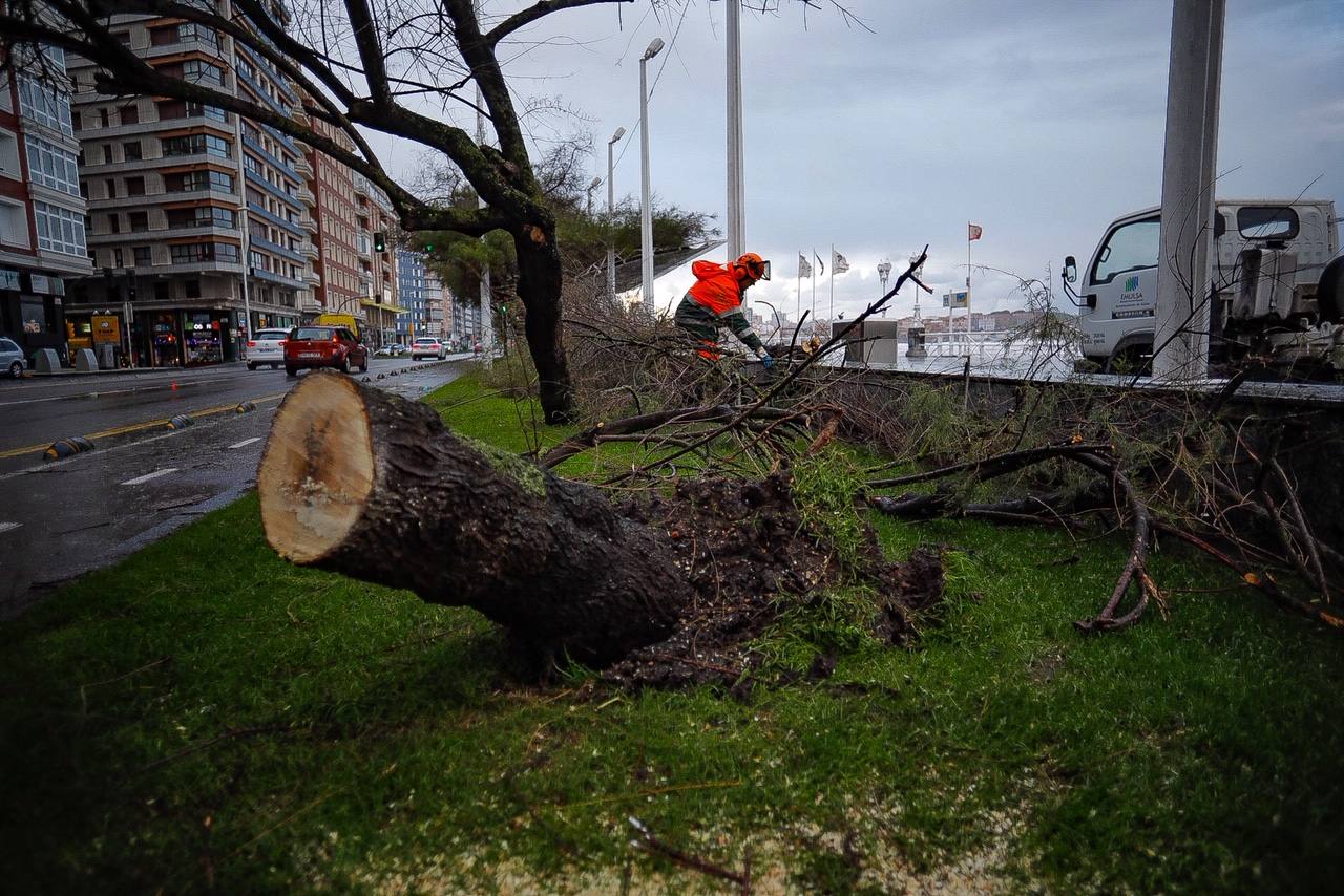 Fotos: Los destrozos que deja el temporal en Gijón