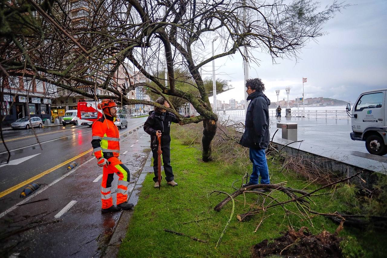 Fotos: Los destrozos que deja el temporal en Gijón