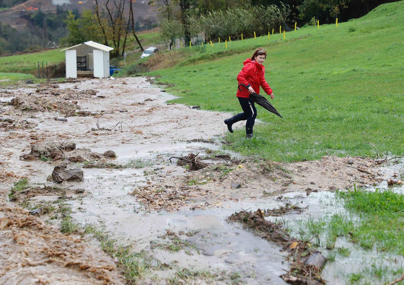 Las fuertes lluvias registradas en las últimas horas en Asturias han provocado dos desprendimientos de tierra en Villazón (Salas), uno de los cuales ha afectado a parte de una vivienda sin causar heridos, y el otro ha destrozado una nave y provocado la muerte de varios animales