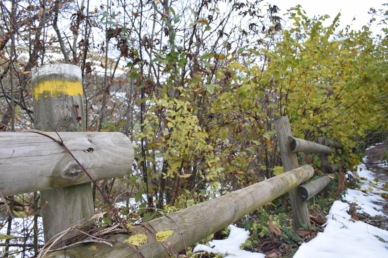 Fotos: Un paseo con nieve por la Senda Verde Foyoso