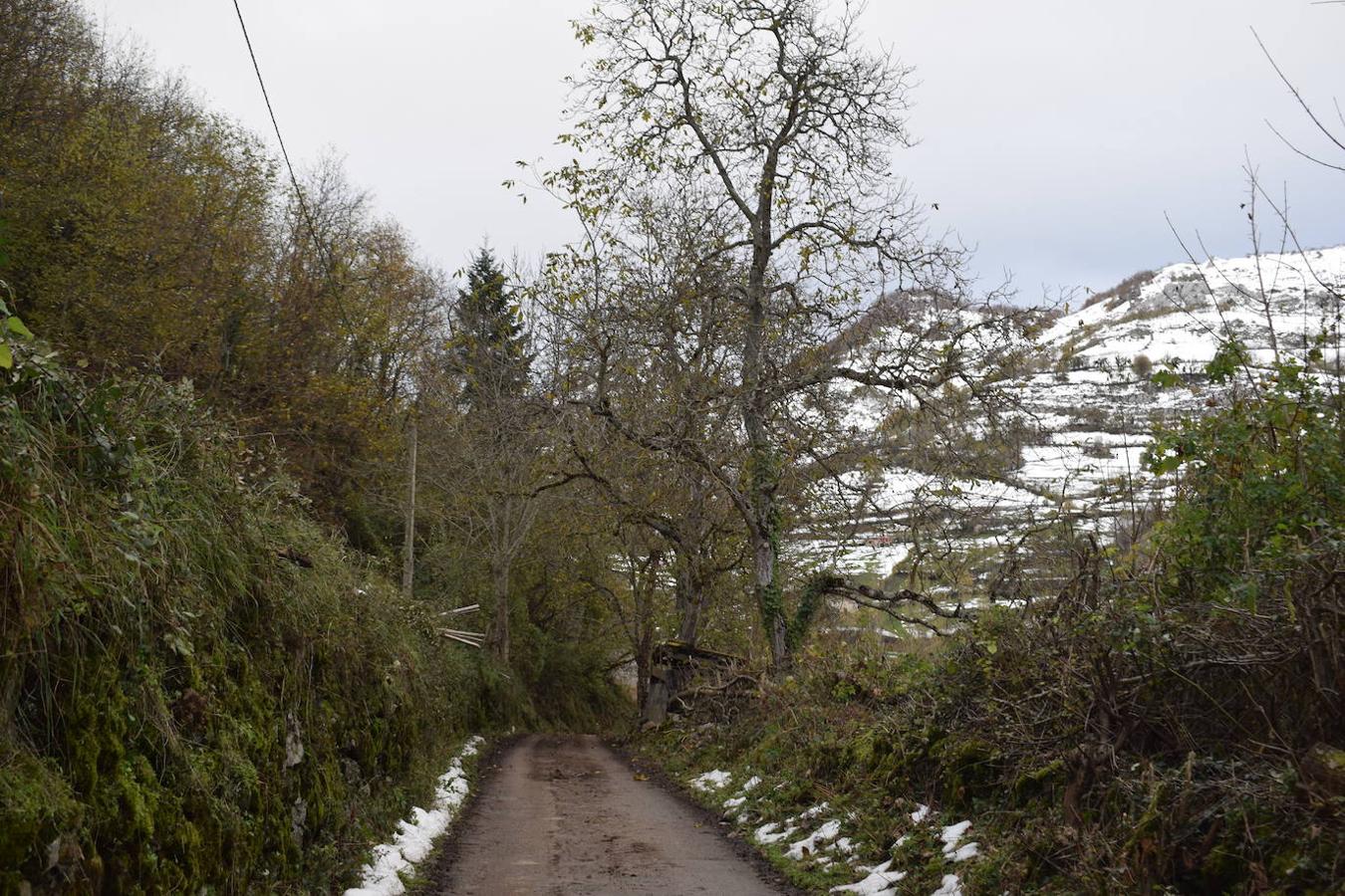 Fotos: Un paseo con nieve por la Senda Verde Foyoso