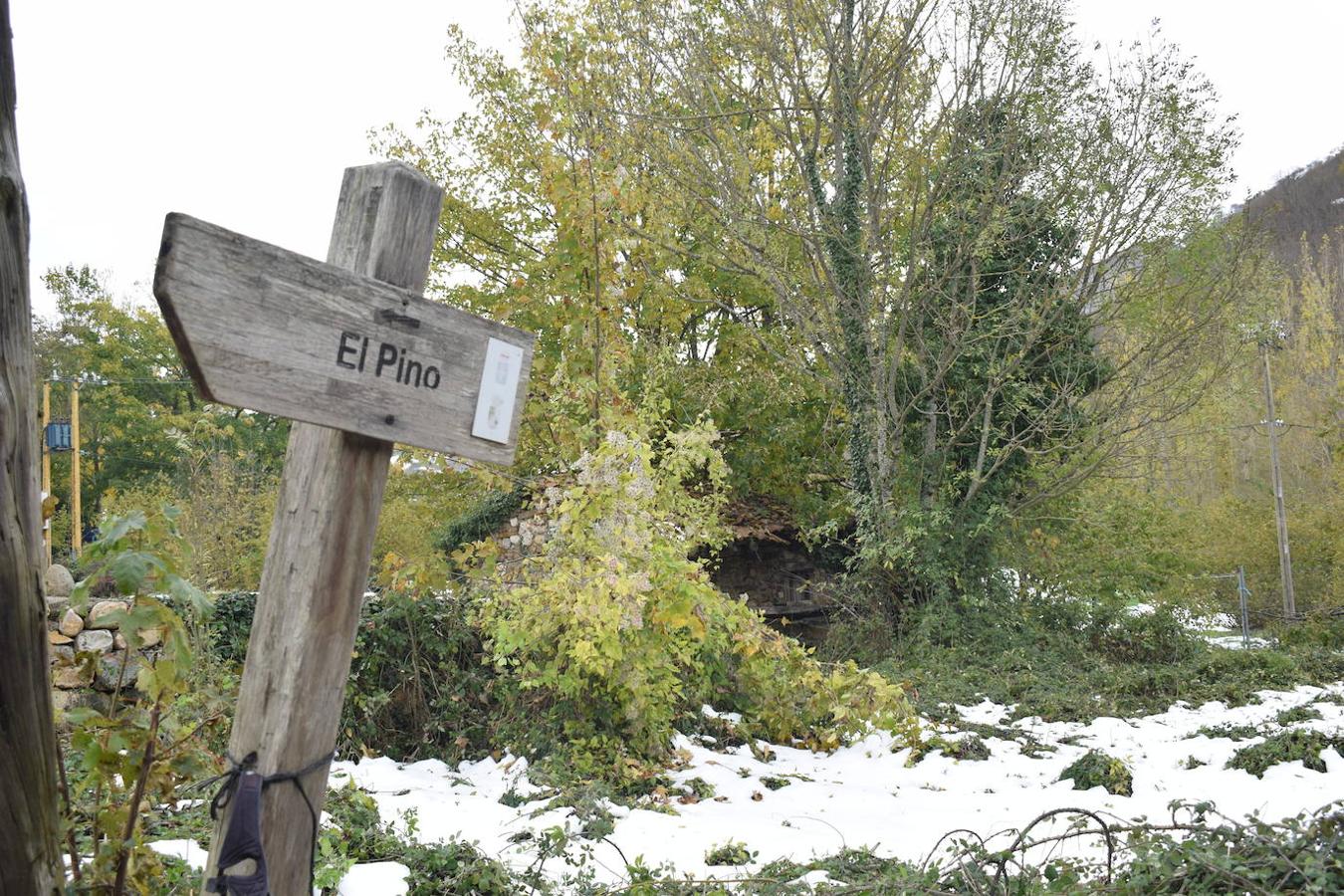 Fotos: Un paseo con nieve por la Senda Verde Foyoso