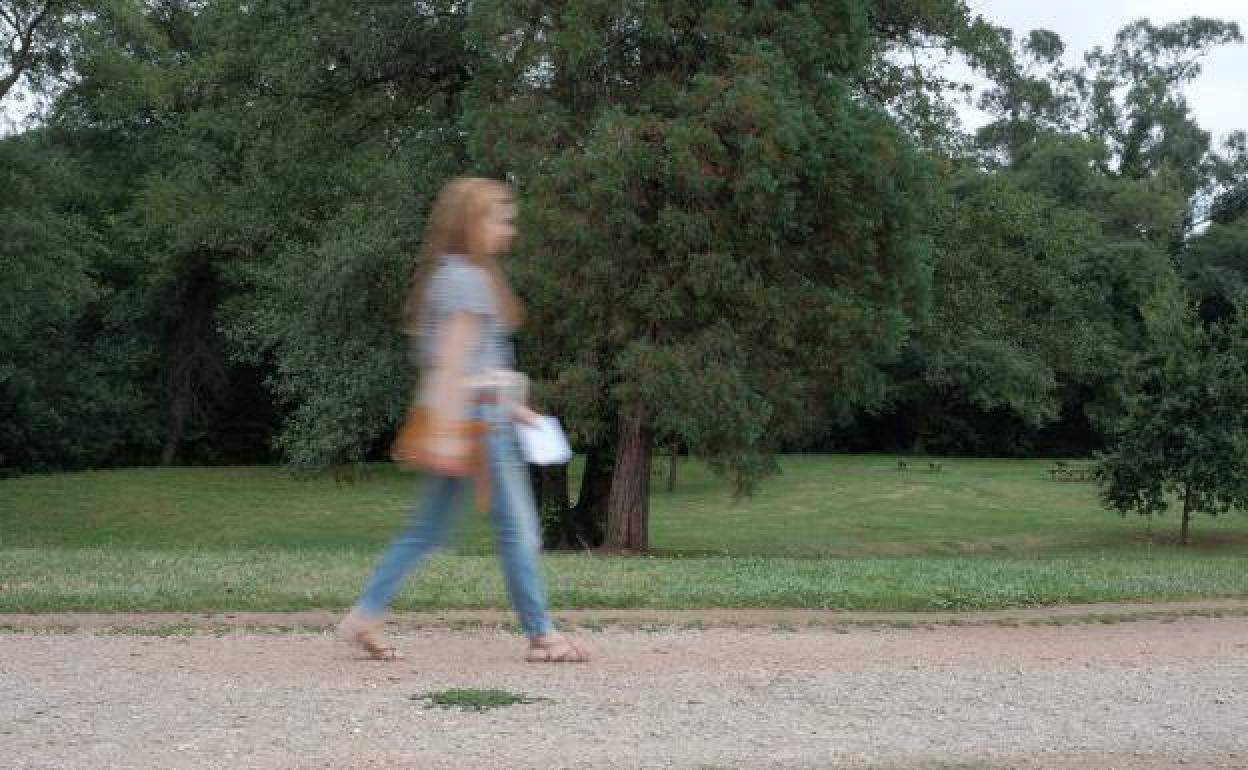 «Ese día estaba inquieto», dice la empleada del hogar del presunto violador de La Coría