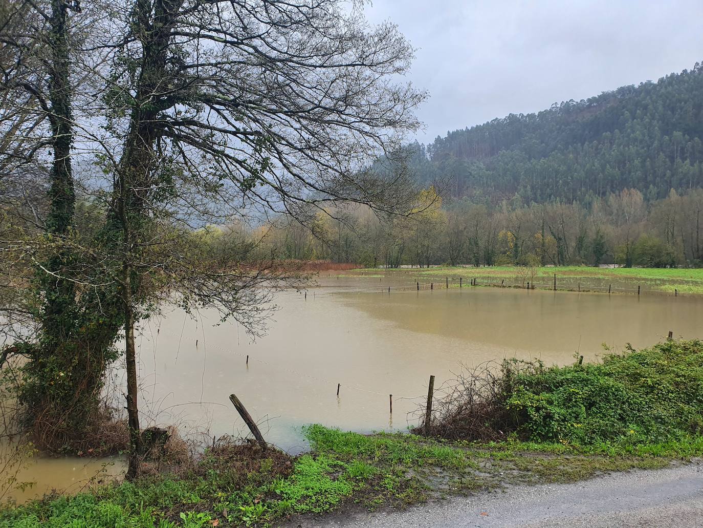 El paso de la borrasca 'Cecilia' por el Cantábrico ha dejado esta noche en Asturias fuertes rachas de viento y abundante lluvia