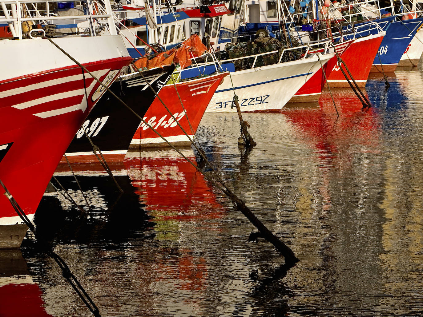 De Oriente a Occidente, entre playas y montañas, estas son algunas de las mejores escenas presentadas al concurso de fotografía 'Escenas de Asturias' de EL COMERCIO con el patrocinio de El Gaitero 