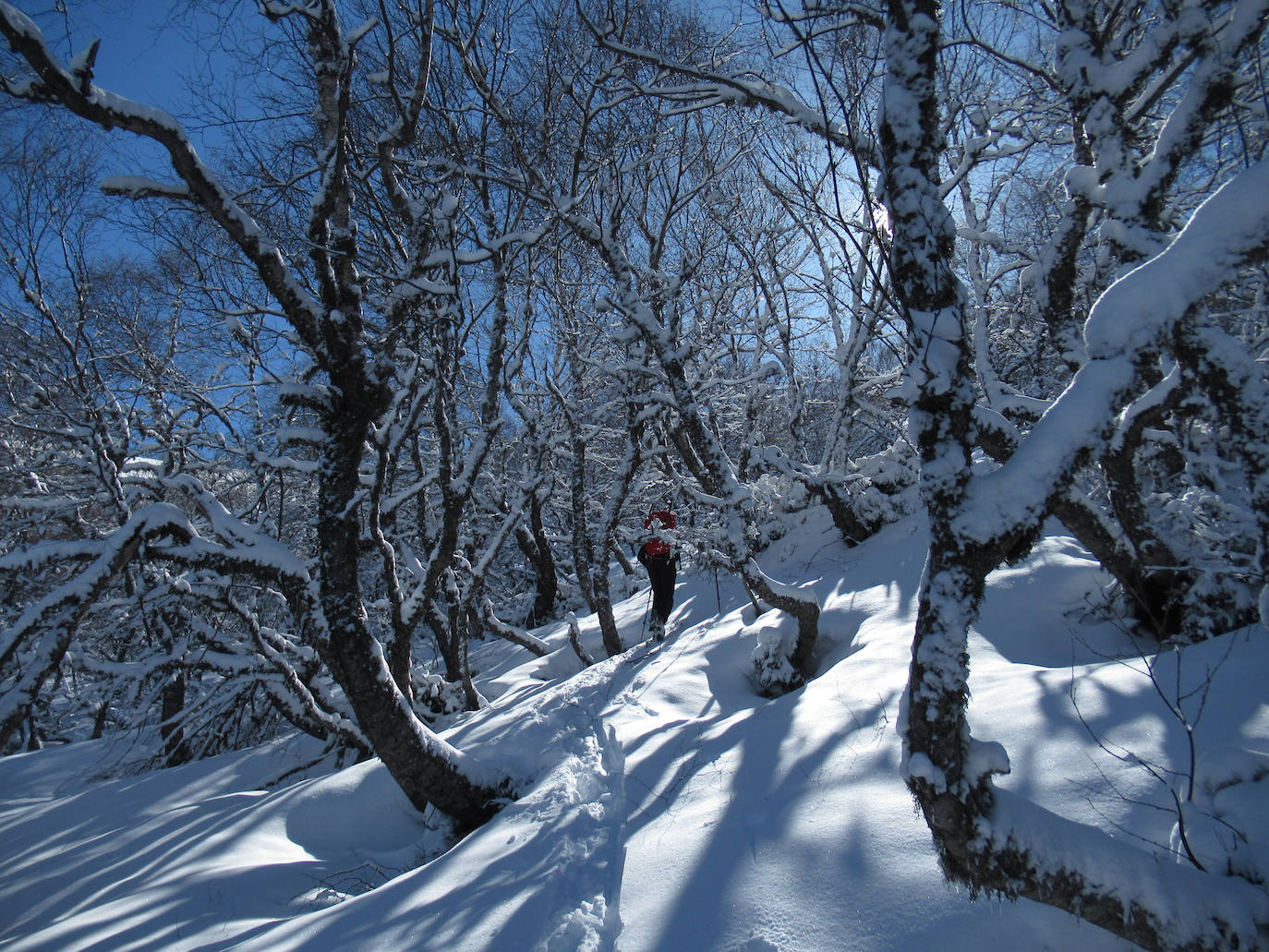 De Oriente a Occidente, entre playas y montañas, estas son algunas de las mejores escenas presentadas al concurso de fotografía 'Escenas de Asturias' de EL COMERCIO con el patrocinio de El Gaitero 