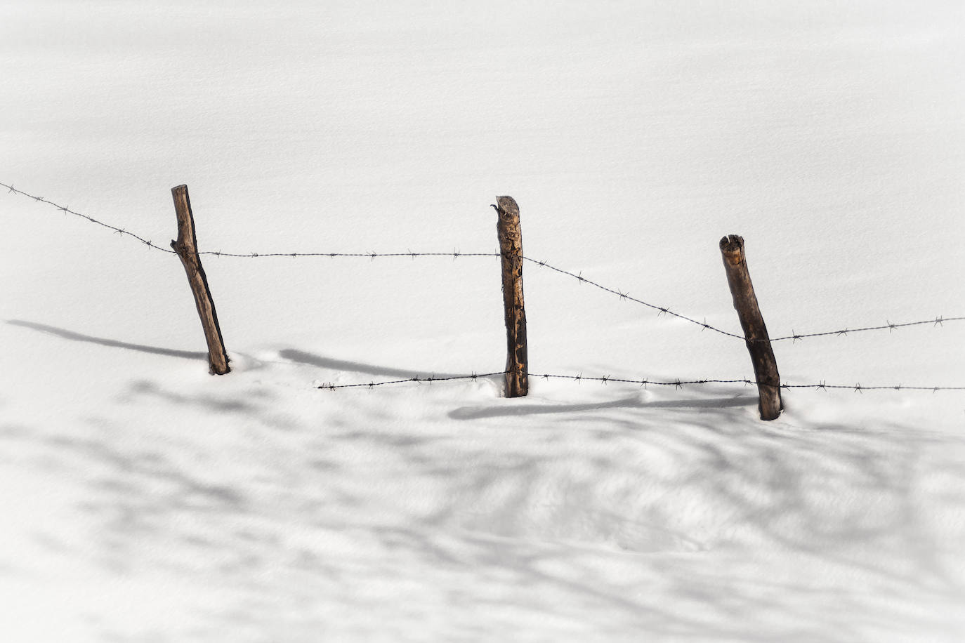 De Oriente a Occidente, entre playas y montañas, estas son algunas de las mejores escenas presentadas al concurso de fotografía 'Escenas de Asturias' de EL COMERCIO con el patrocinio de El Gaitero 