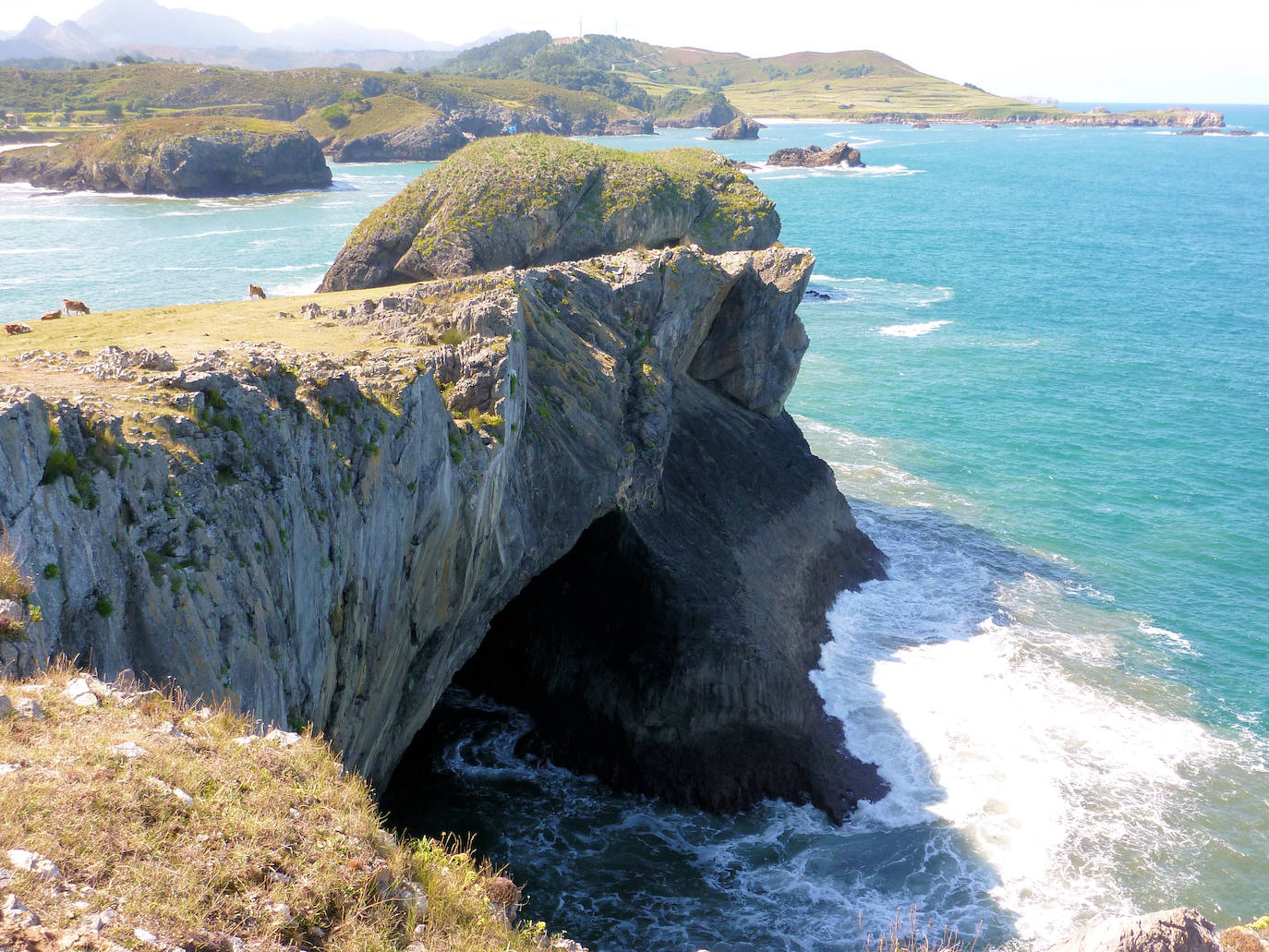 De Oriente a Occidente, entre playas y montañas, estas son algunas de las mejores escenas presentadas al concurso de fotografía 'Escenas de Asturias' de EL COMERCIO con el patrocinio de El Gaitero 