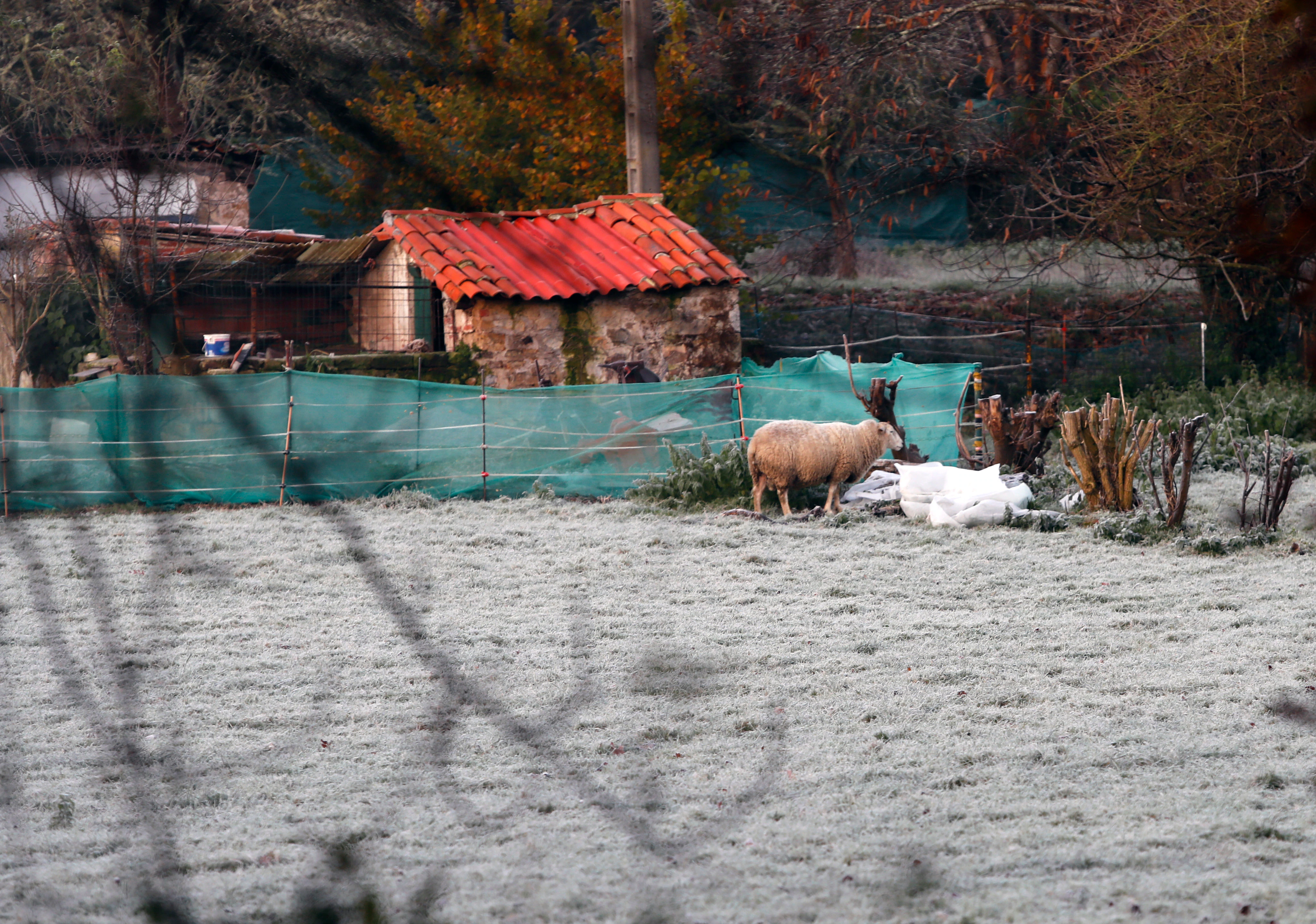 Las temperaturas han descendido durante la madrugada del martes al miércoles y buena parte del Principado ha amanecido bajo un manto de hielo 