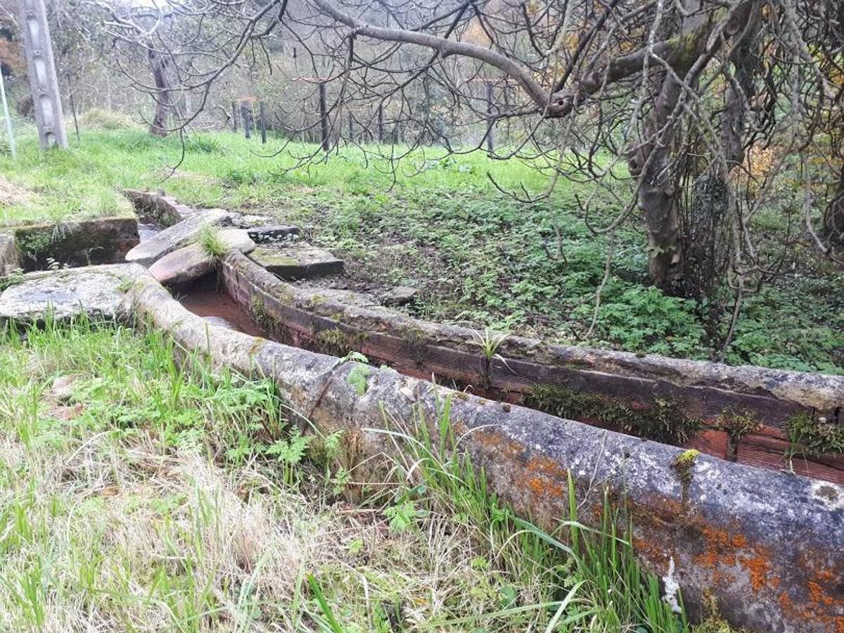 Fotos: Ruta en bici entre molinos