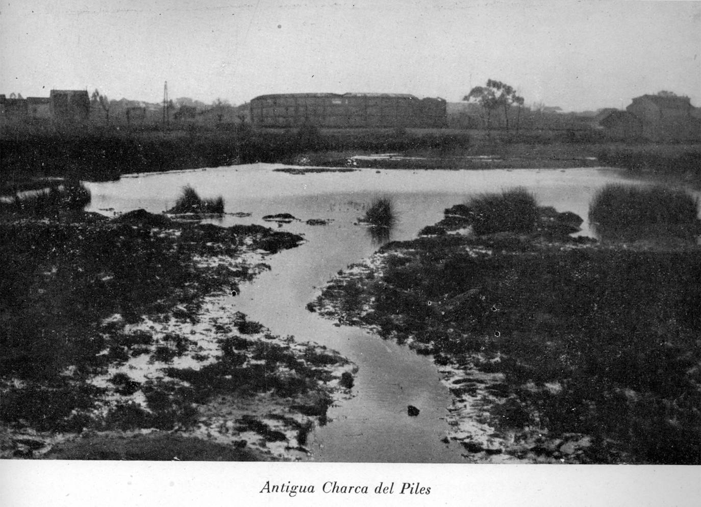 El parque de Isabel la Católica de Gijón va a ser reformado en 2020 y ganará 12.000 metros cuadrados. Pero este emblemático lugar no siempre ha sido tal y como lo conocemos. Así era hace años: 