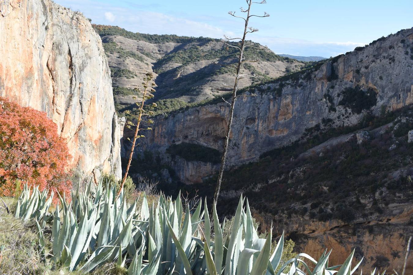 Alquezar se encuentra situado a orillas del río Vero, en el centro de la provincia de Huesca y en la comarca del Somontano de Barbastro. La belleza de su paisaje ha sido una de las principales razones por las que esta villa medieval fue declarada en 1990, Parque Natural de la Sierra y los Cañones de Guara. Hoy en día, este municipio se ha convertido en uno de los destinos turísticos más concurridos de la Sierra de Guara y no solo por el gran legado cultural y artístico que esconde, sino también por la gran cantidad de rutas, barrancos perfectos para los deportes de aventura y paredes perfectas para la práctica de la escalada que este paisaje integra. Un lugar que en otoño se vuelve aún más mágico y del que podrás disfrutar en estas fotografías. 