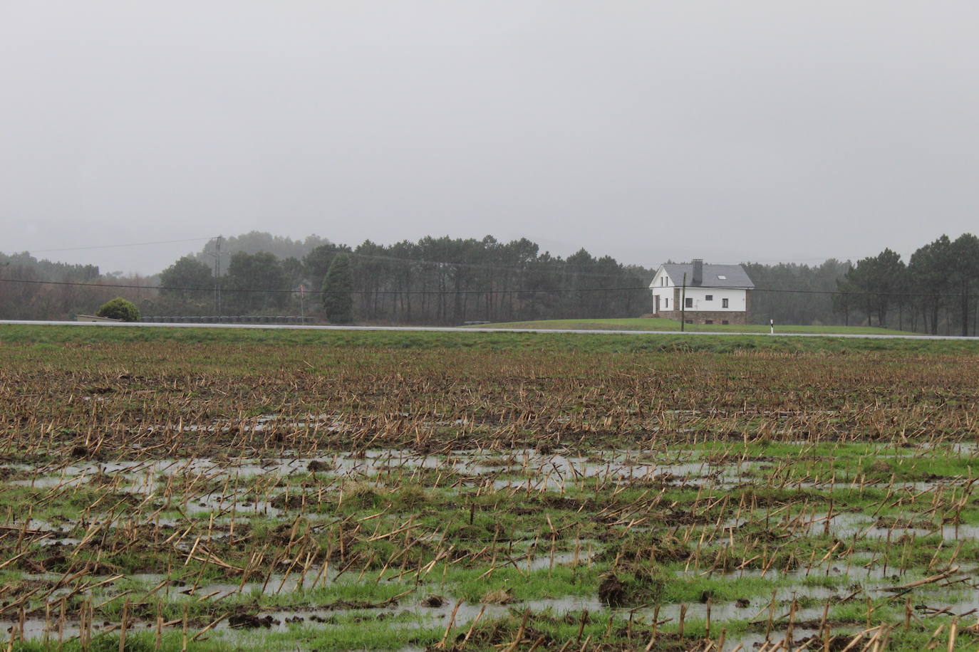 La región, bajo la influencia de las borrascas Daniel y Elsa vivirá una semana de inestabilidad meteorológica. 