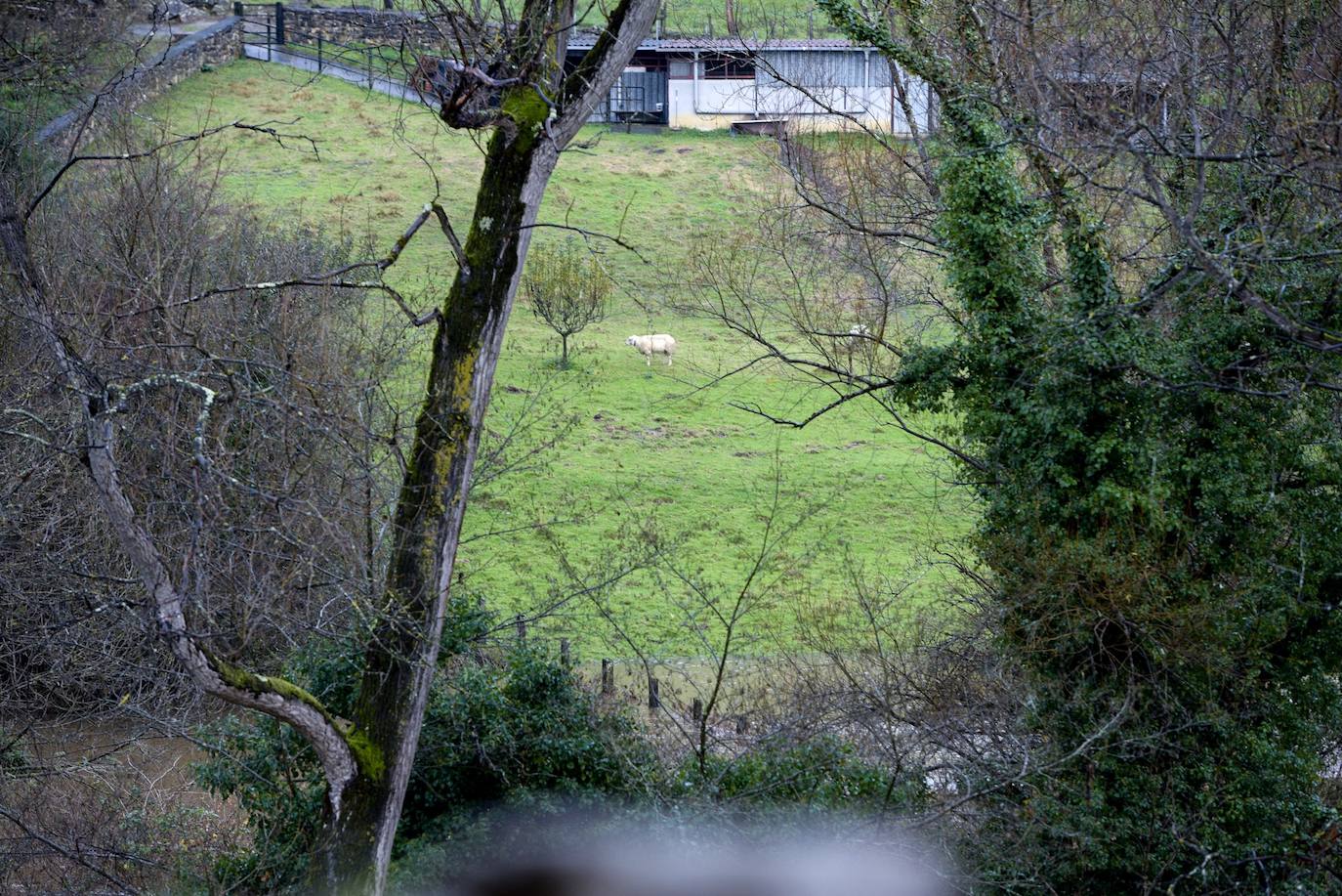 El desbordamiento de los ríos Nora y Noreña han comenzado a causar importantes desperfectos a su paso por los concejos de Oviedo y el área central de Asturias. 