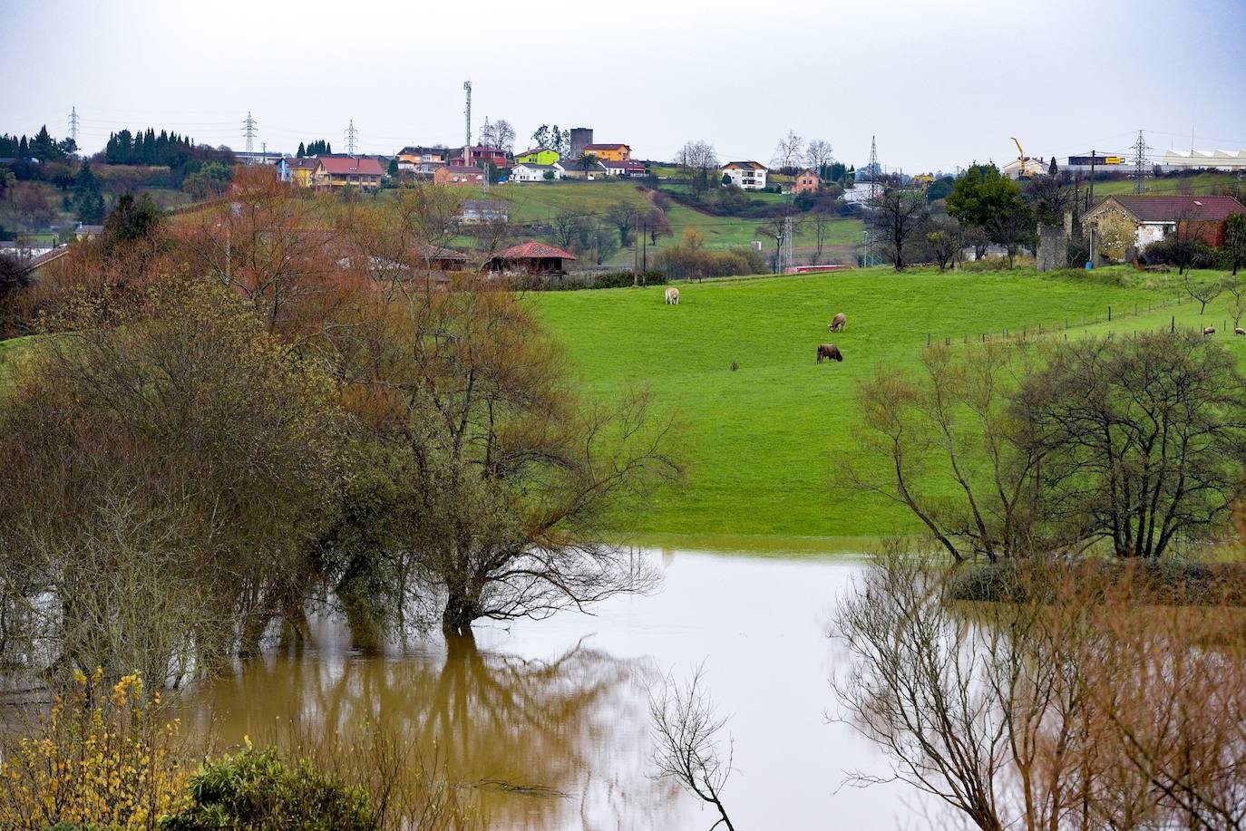 El desbordamiento de los ríos Nora y Noreña han comenzado a causar importantes desperfectos a su paso por los concejos de Oviedo y el área central de Asturias. 