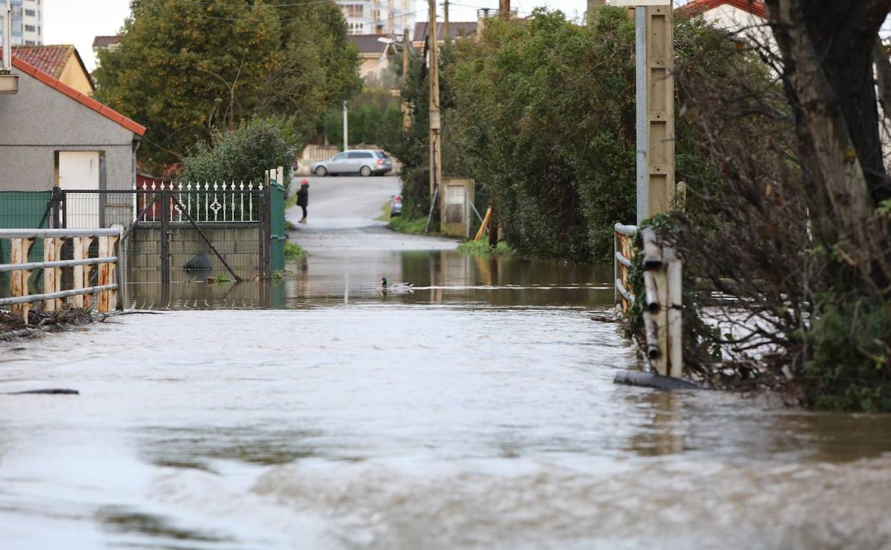 Aspecto que presenta esta mañana el cauce del río Raíces. 