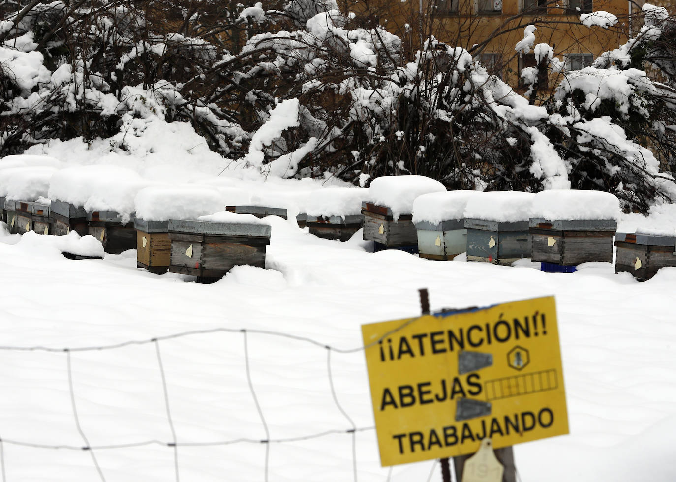 El Piles al límite de su capacidad baja con las aguas turbias y las consecuencias del temporal se dejan ver además en otros puntos de la ciudad.