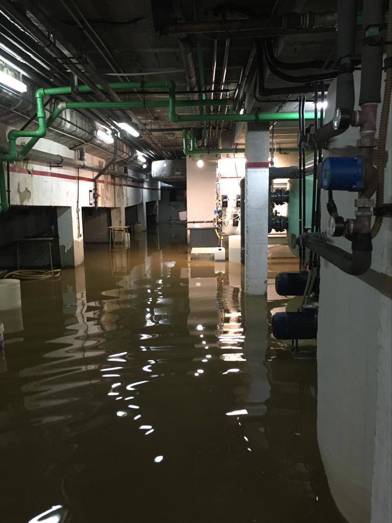 Fotos: Los efectos del temporal en la comarca de Avilés