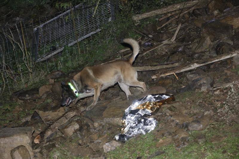 El suceso se produjo en la localidad de Boo y la víctima no pudo evitar la gran cantidad de tierra y rocas que se desprendieron de la ladera cuando paseaba por la zona.