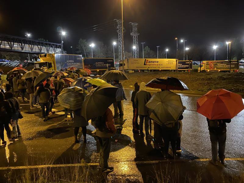 Los supermercados que inician ocho jornadas de huelga son: Alimerka, Masymas, La Quintana, El Arco y La Plaza de Dia. La huelga ha comenzado a las 22 horas del viernes 20 de diciembre y se prolongará durante los días 21, 22, 23, 24, 28, 29, 30 y 31 de diciembre.