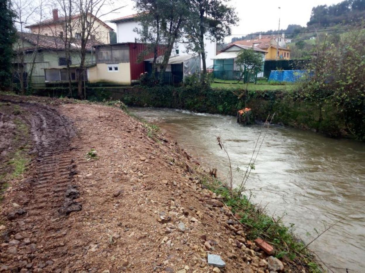 Una imagen de la zona despejada de árboles. 