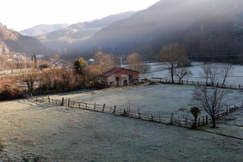 Asturias ha registrado heladas en las primeras horas de la mañana.