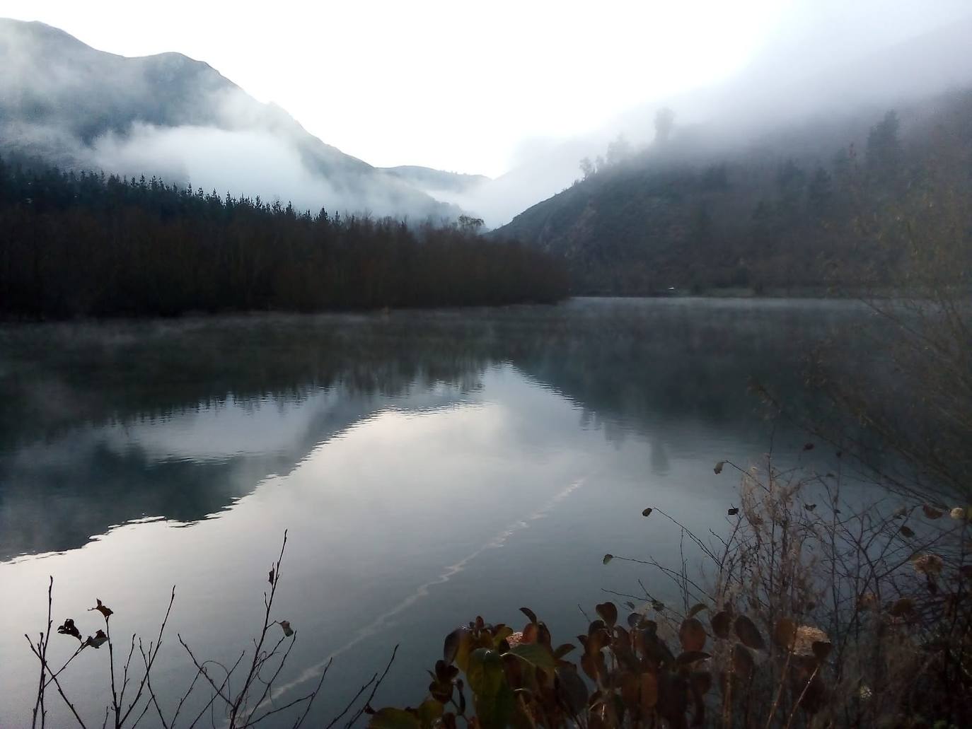 El área central de Asturias ha registrado heladas en las primeras horas de la mañana.