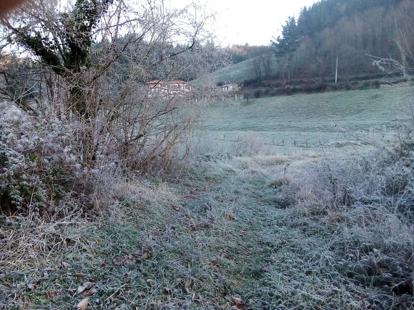 El área central de Asturias ha registrado heladas en las primeras horas de la mañana.