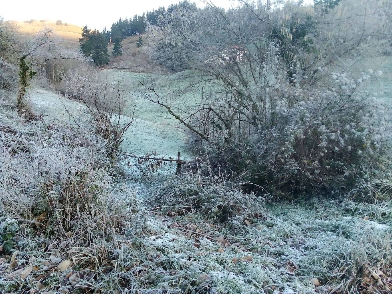 El área central de Asturias ha registrado heladas en las primeras horas de la mañana.