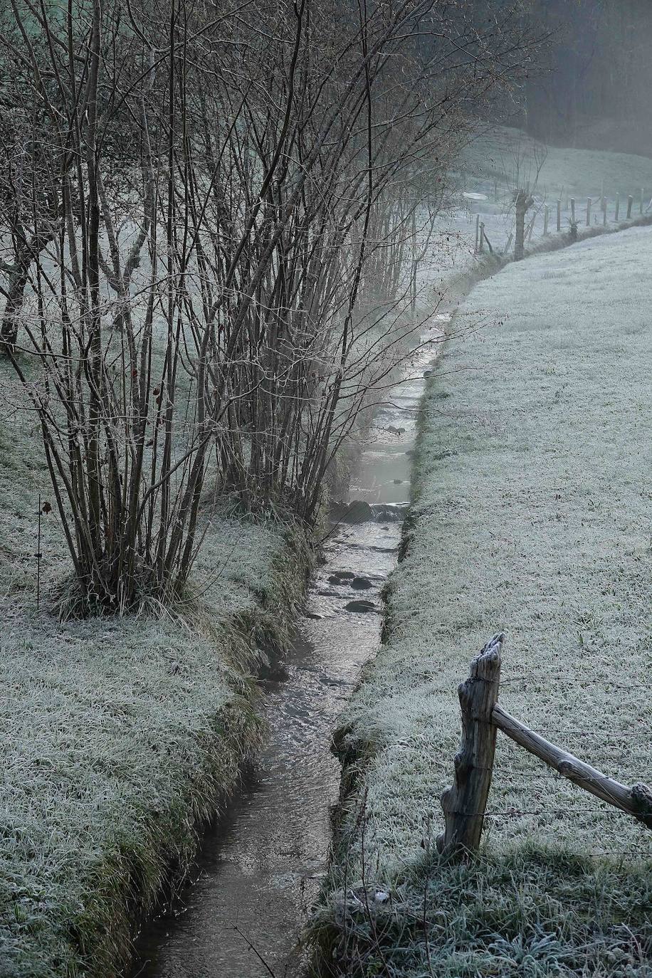 Asturias ha registrado heladas en las primeras horas de la mañana.