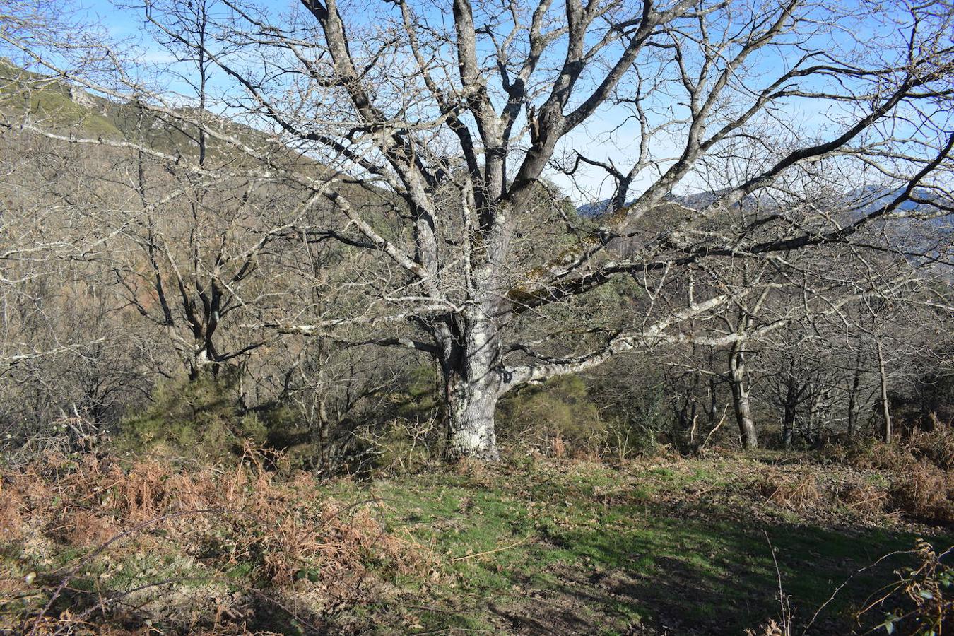 Fotos: La costa y los Picos de Europa a pie de cumbre