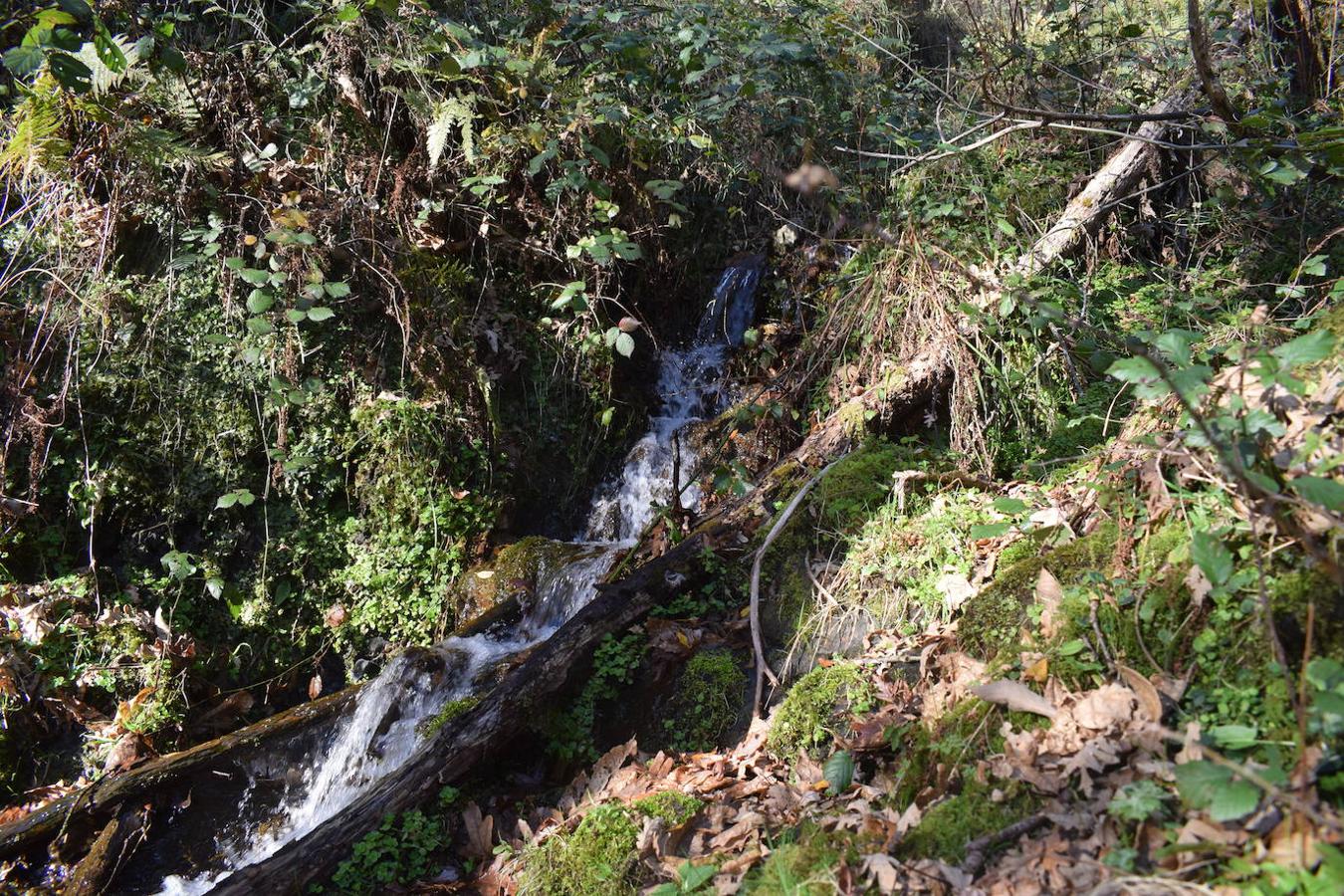 Fotos: La costa y los Picos de Europa a pie de cumbre