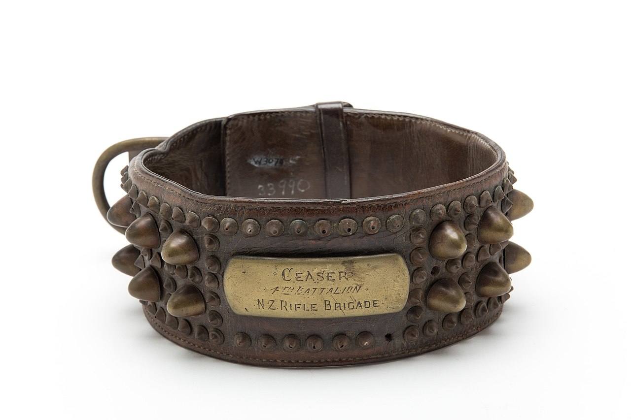 Museo de los Collares de Perro / Dog Collar Museum (Leeds, Inglaterra) | Esta colección de objetos propone un viaje al pasado y recorre los últimos cinco siglos en la materia. Hay casi 100 collares distintos y a través de ellos el visitante va conociendo cuál es la historia de este complemento desde la Edad Media hasta la época victoriana.