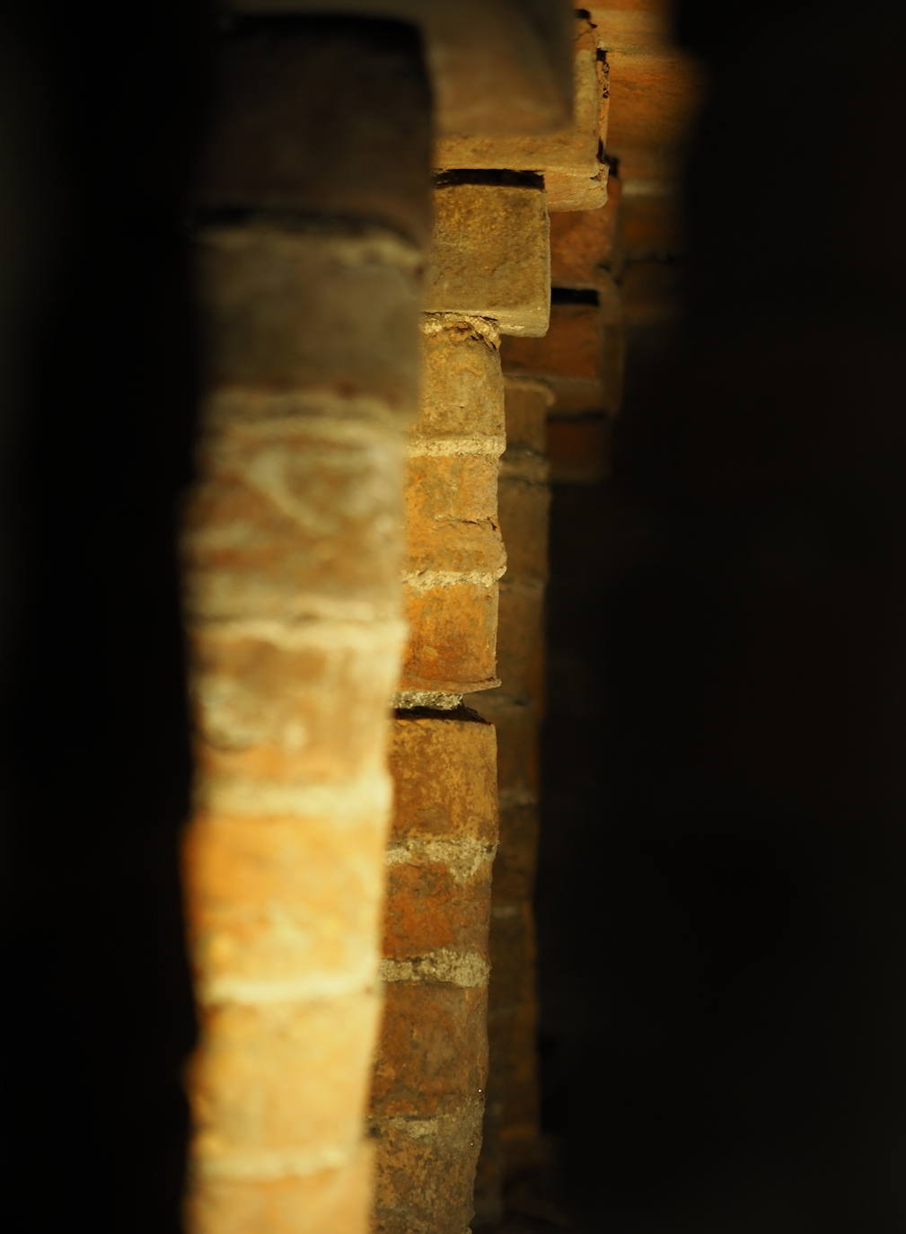 Imágenes reunidas en el concurso Arqueofoto realizado por los museos arqueológicos de Gijón con la colaboración de EL COMERCIO para difundir el patrimonio de la ciudad.