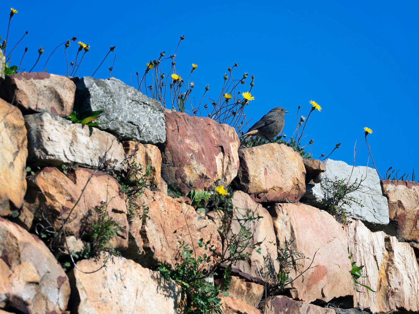 Imágenes reunidas en el concurso Arqueofoto realizado por los museos arqueológicos de Gijón con la colaboración de EL COMERCIO para difundir el patrimonio de la ciudad.