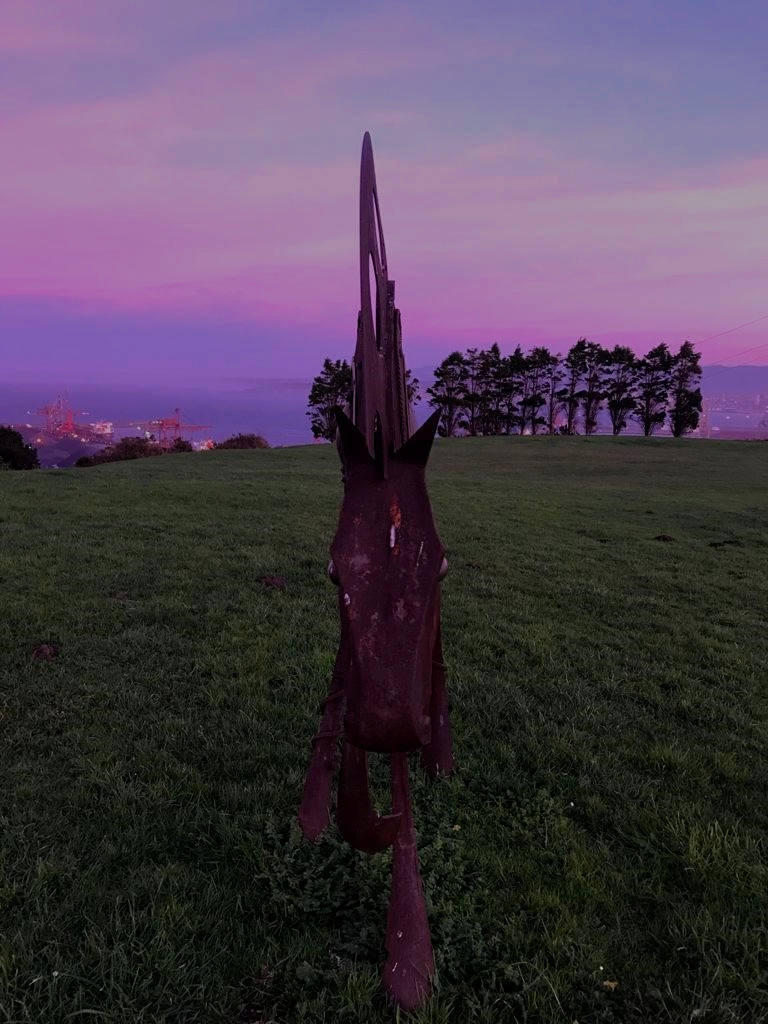 Imágenes reunidas en el concurso Arqueofoto realizado por los museos arqueológicos de Gijón con la colaboración de EL COMERCIO para difundir el patrimonio de la ciudad.