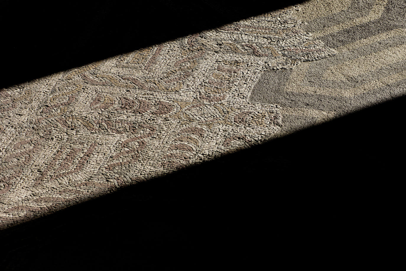 Imágenes reunidas en el concurso Arqueofoto realizado por los museos arqueológicos de Gijón con la colaboración de EL COMERCIO para difundir el patrimonio de la ciudad.