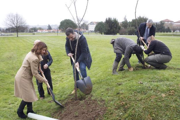 Vanda Martins junto a Olmo Ron, plantan uno de los árboles, con Santiago García Granda haciendo lo propio al fondo. 