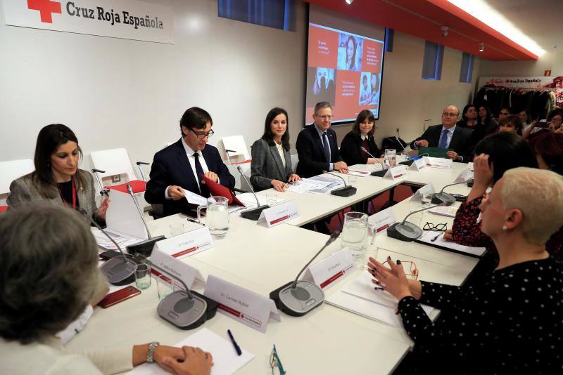 Cruz Roja Española ha organizado una jornada sobre violencia machista, en la que la reina Letizia ha podido conocer el trabajo que se realiza en la 'Casa Malva' de Gijón. 