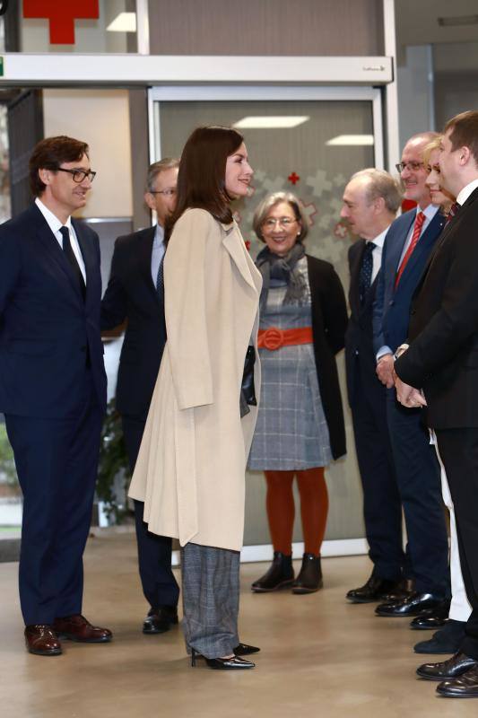 Cruz Roja Española ha organizado una jornada sobre violencia machista, en la que la reina Letizia ha podido conocer el trabajo que se realiza en la 'Casa Malva' de Gijón. 