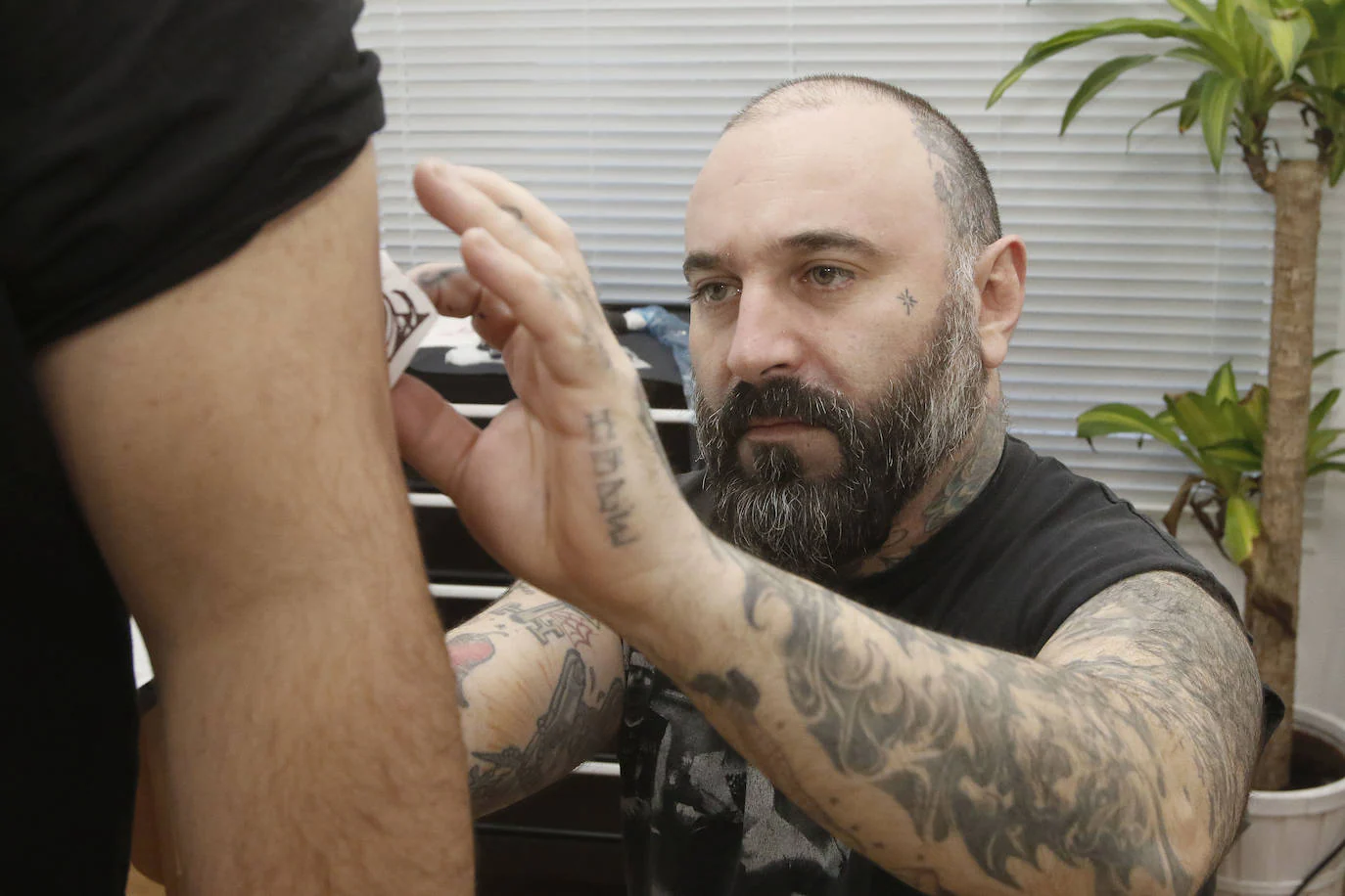 La Venenosa Tattoo - Estudio de Tatuaje en Zaragoza