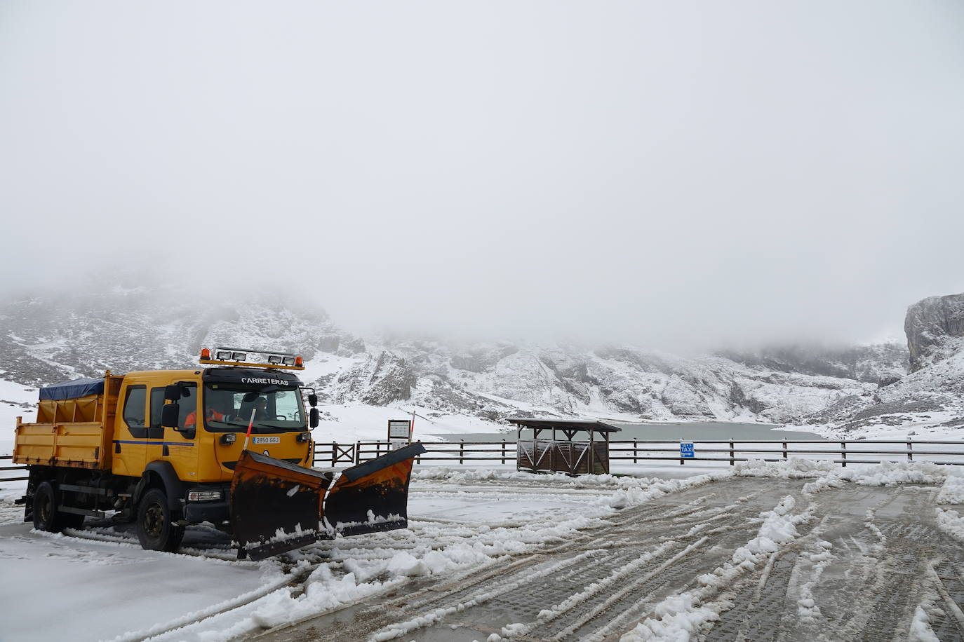 Muchas personas se decidieron a subir a los Lagos de Covadonga llamados por la nieve caída en la noche