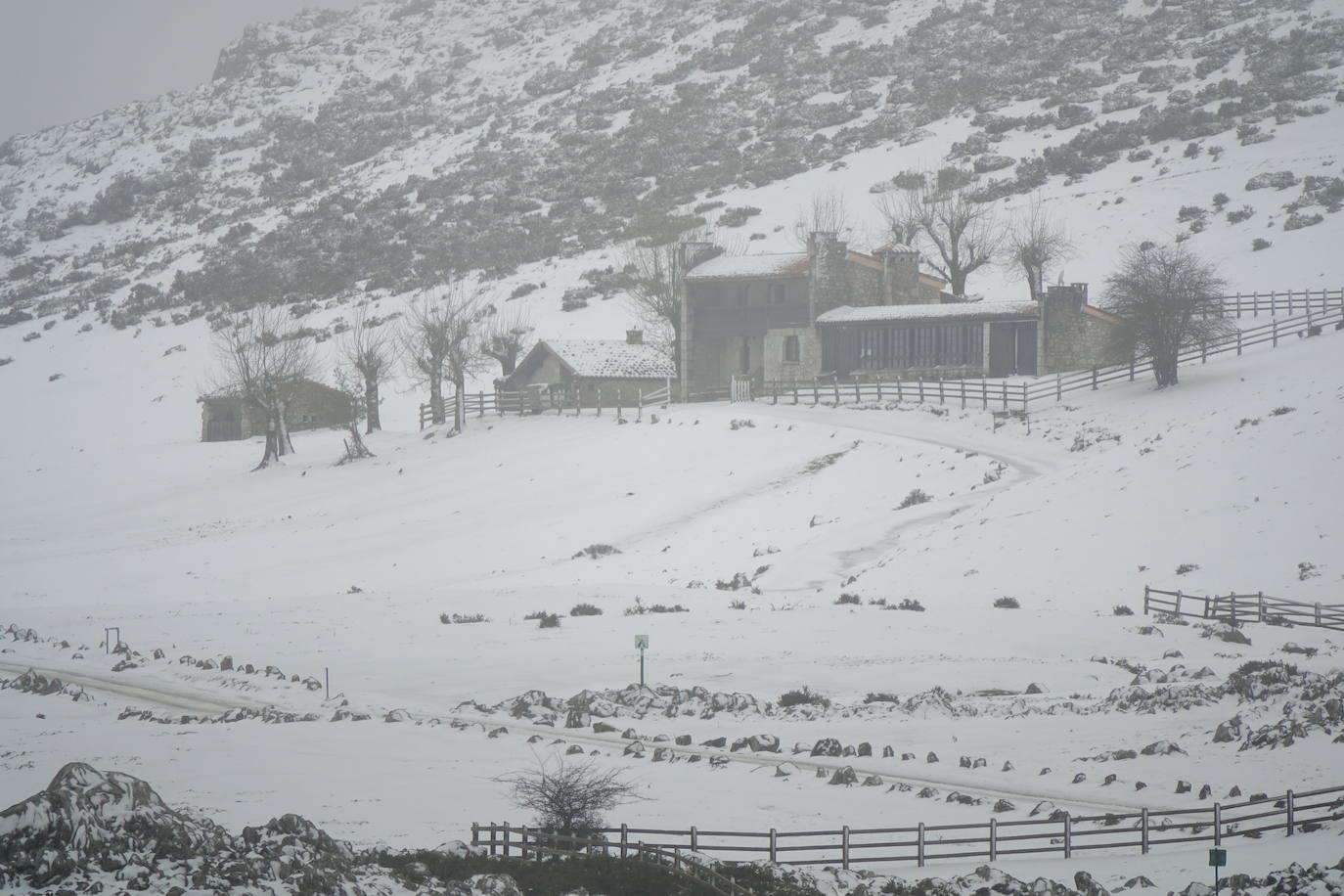 Muchas personas se decidieron a subir a los Lagos de Covadonga llamados por la nieve caída en la noche